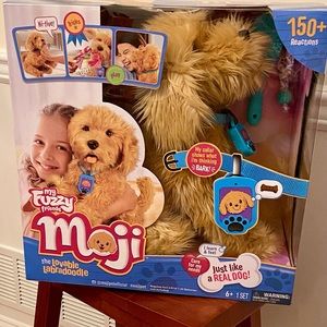 Moji the Lovable Labradoodle New